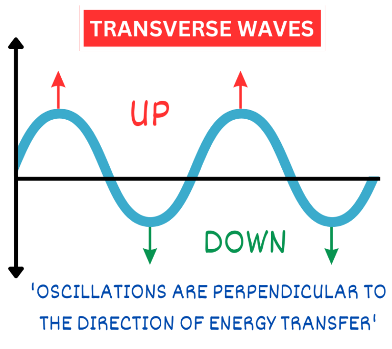 TRANSVERSE WAVES