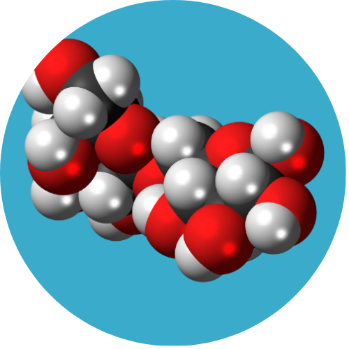 3D molecular model demonstrating chemical energy as potential energy stored in bonds