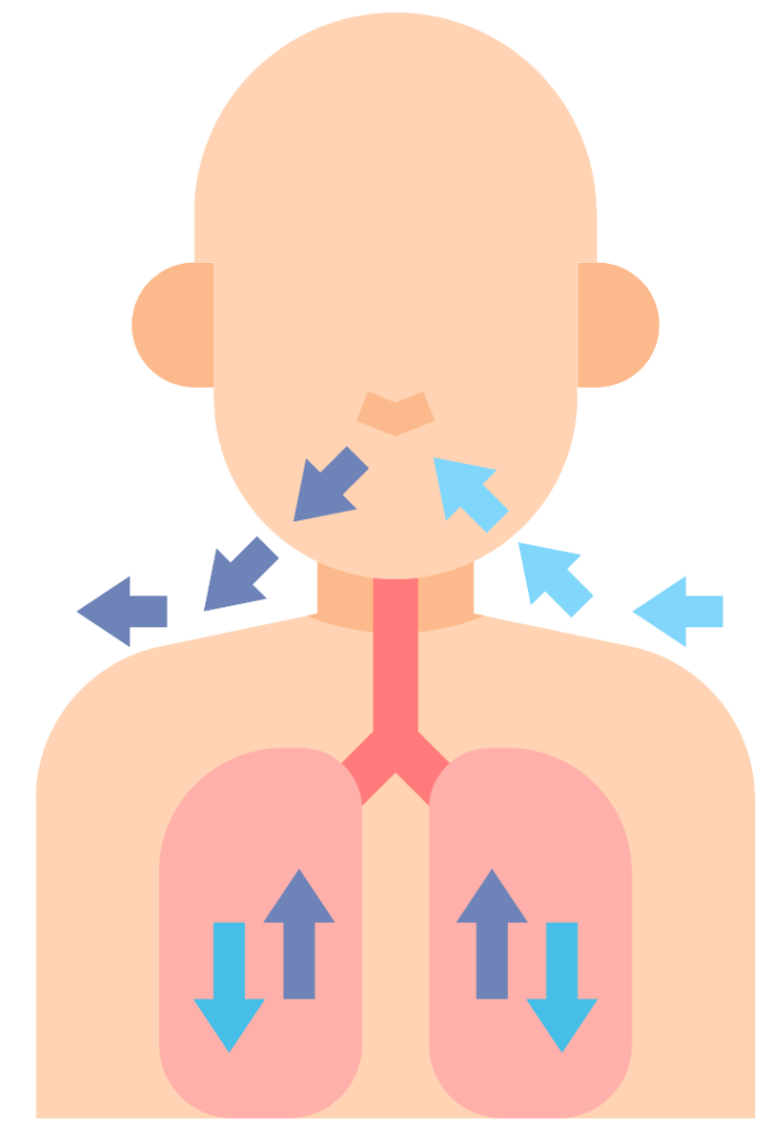 Respiration process diagram showing cells converting chemical energy in food into ATP.