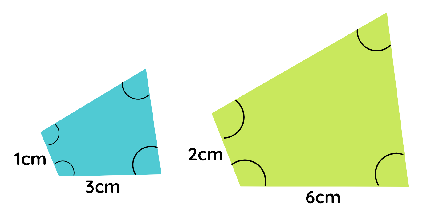 Similarity: Two similar quadrilaterals with matching angles and proportional sides labeled 1cm:2cm and 3cm:6cm