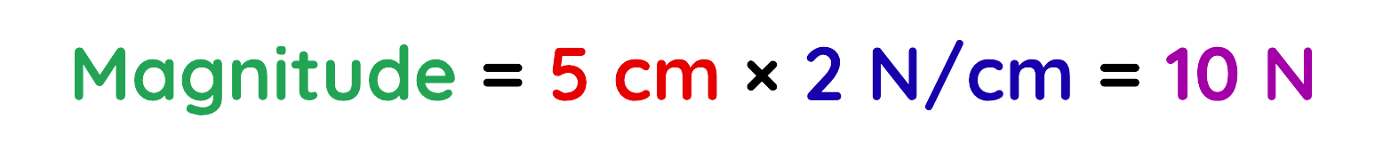 Vector magnitude calculation using scale: 5 cm times 2 N/cm equals 10 N