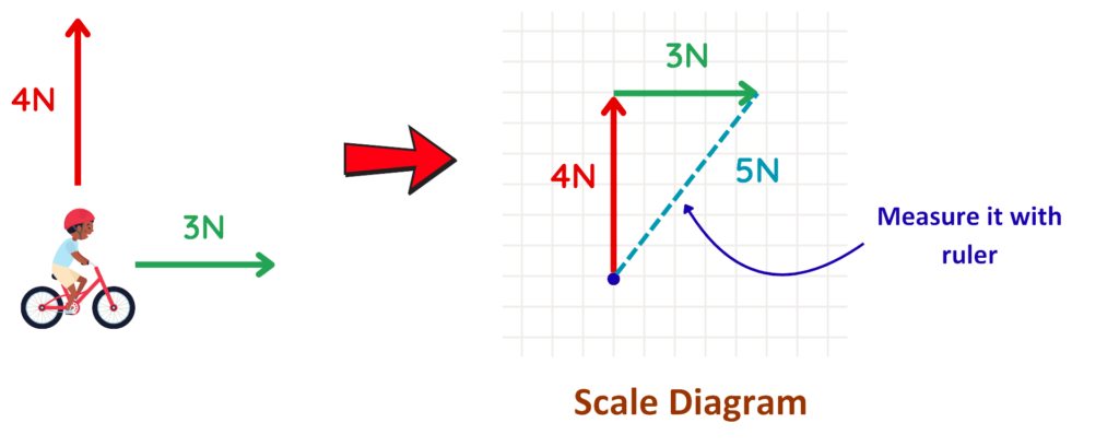 Vector Diagram GCSE Examples: Vector diagram using scale drawing to find the resultant of two perpendicular forces, 4N and 3N