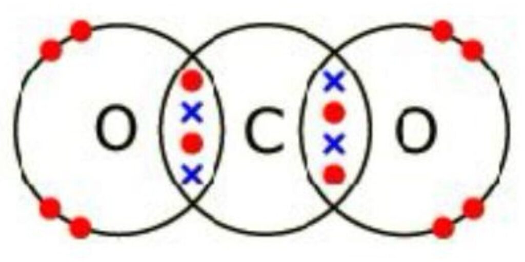 Dot and cross diagram of a CO₂ molecule showing double covalent bonds between carbon and oxygen atoms.