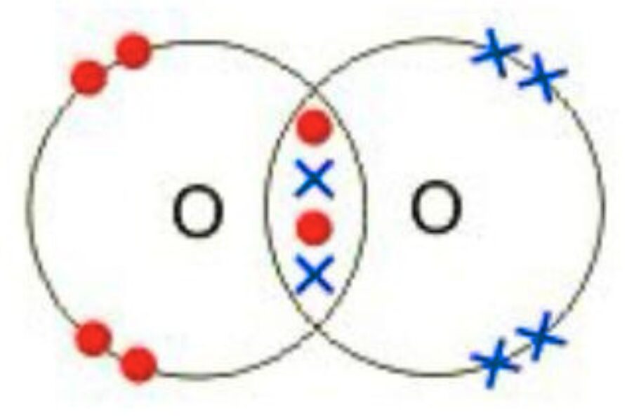 Dot and cross diagram of an oxygen molecule showing a double covalent bond between two oxygen atoms.