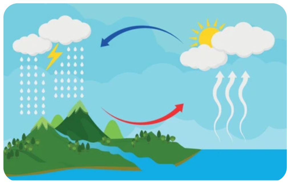 A diagram of the water cycle showing evaporation, condensation, and precipitation over land and sea.
