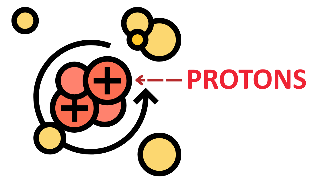 Simplified atomic structure diagram showing positively charged protons in the nucleus with a bold red label.