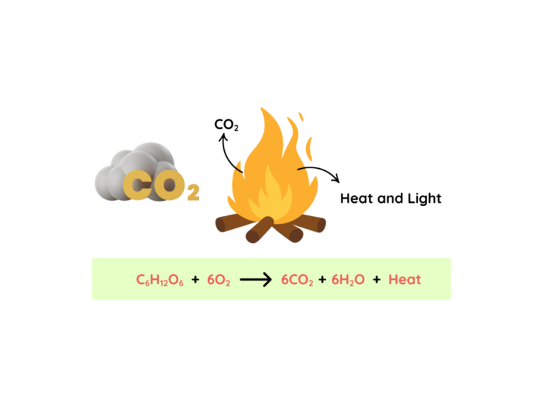 Heat Energy Changes: Step-by-Step Examples