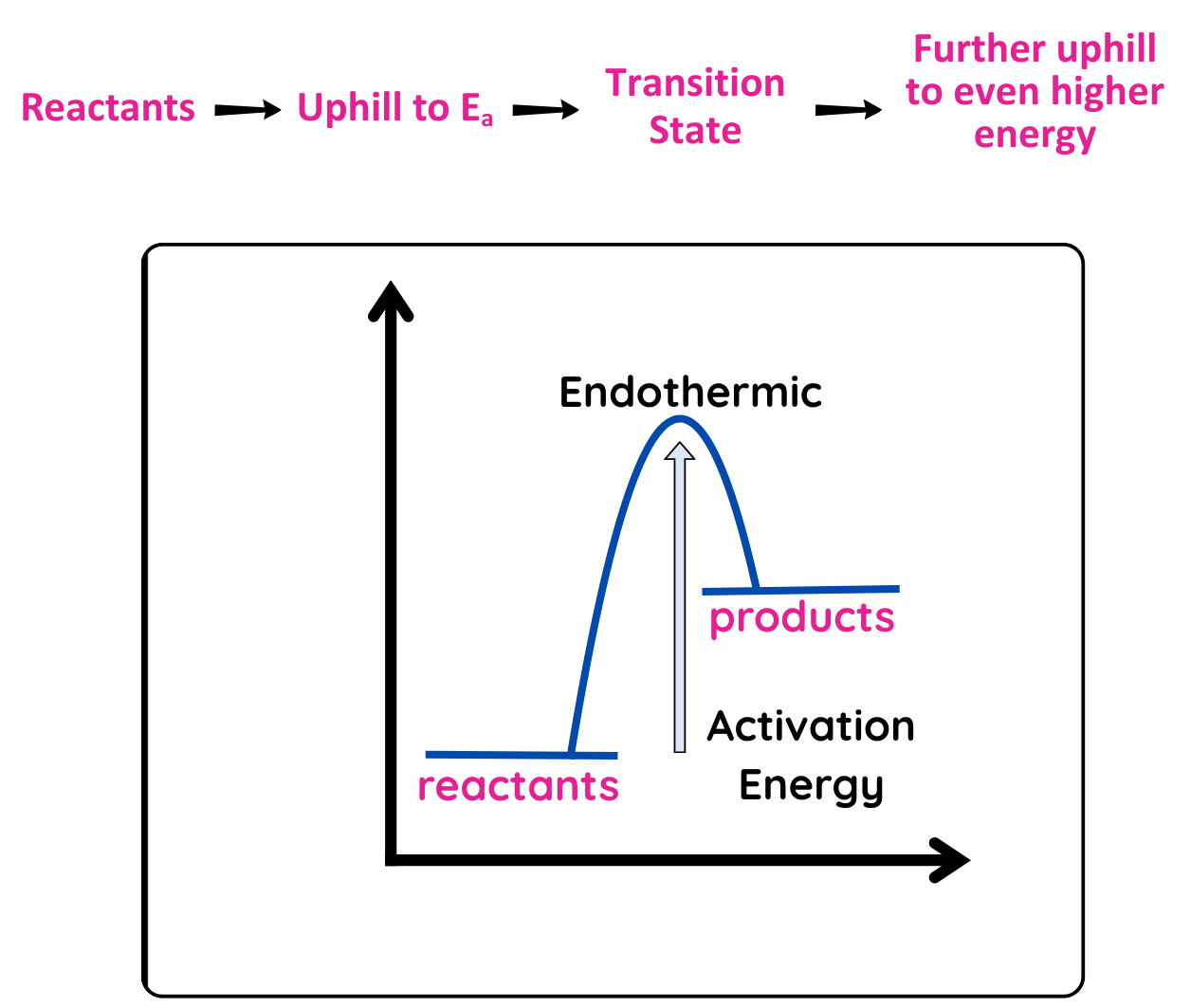Graph showing energy profile of endothermic reaction with reactants, activation energy, transition state, and products at higher energy