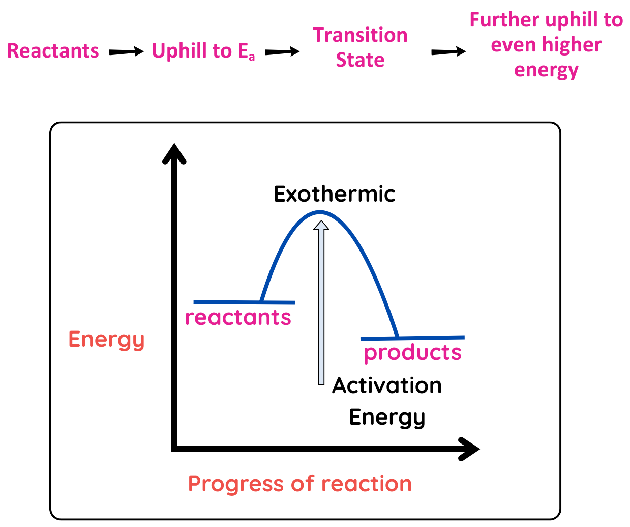Graph showing energy profile of an exothermic reaction with reactants, activation energy, transition state, and products at lower energy