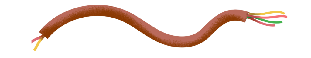 Image of a cut electric cable with three internal wires exposed – brown, yellow-green, and red wires