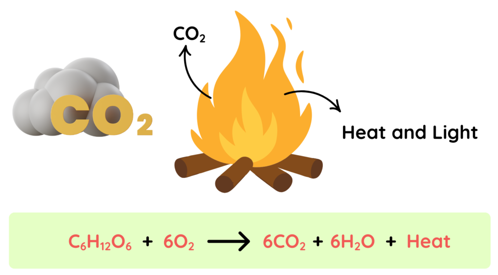 Diagram showing glucose and oxygen forming carbon dioxide, water, and releasing heat