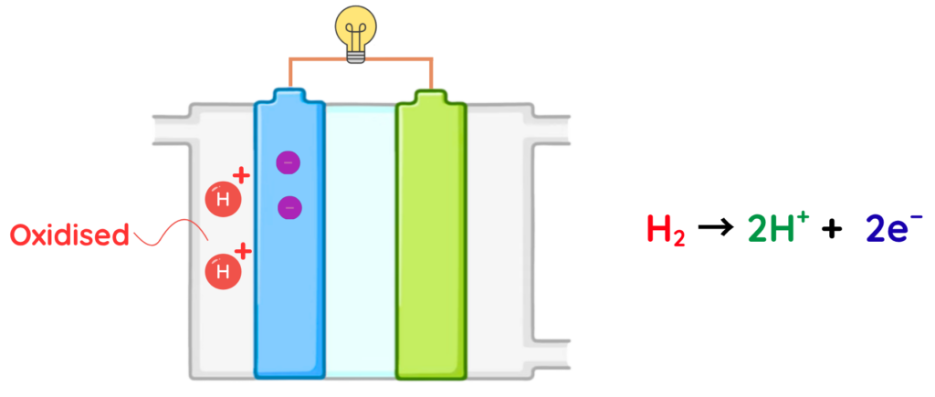 Hydrogen gas is oxidised at the anode in a fuel cell producing protons and electrons