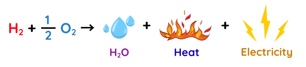 Diagram of overall hydrogen fuel cell reaction forming water, heat, and electricity.