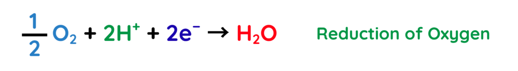 Balanced equation showing reduction of oxygen in a hydrogen fuel cell: ½O₂ + 2H⁺ + 2e⁻ → H₂O