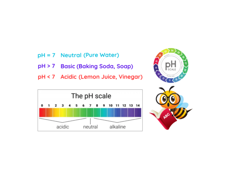 Acids: Step-by-Step Examples