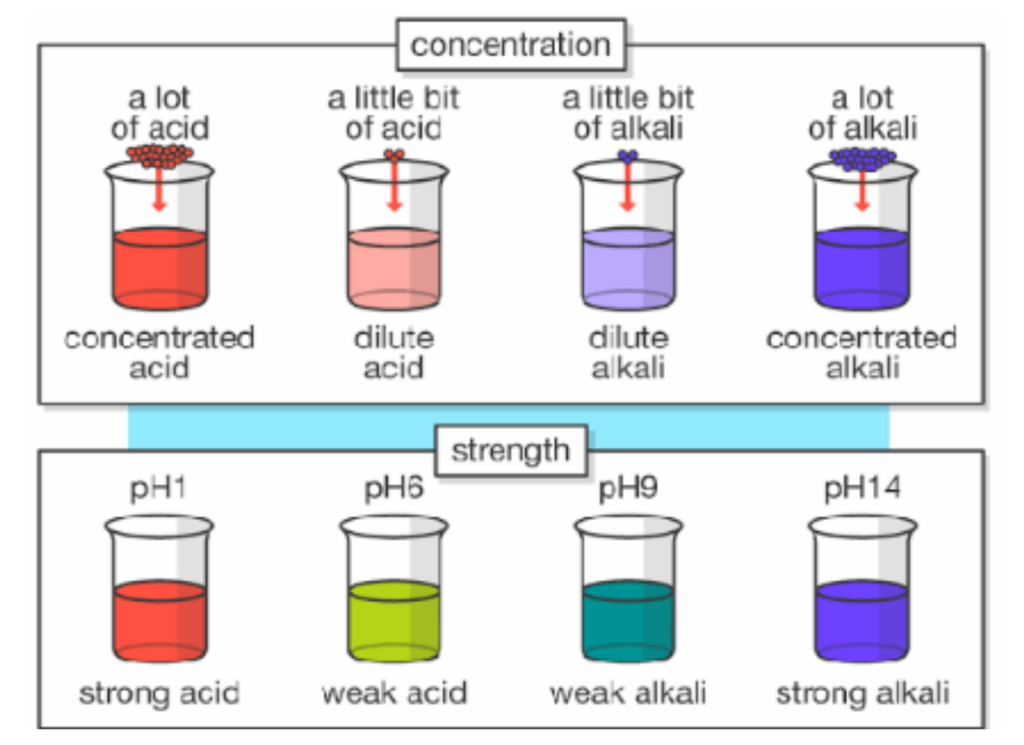 Acids: Diagram showing the difference between concentration and strength for acids and alkalis with examples.