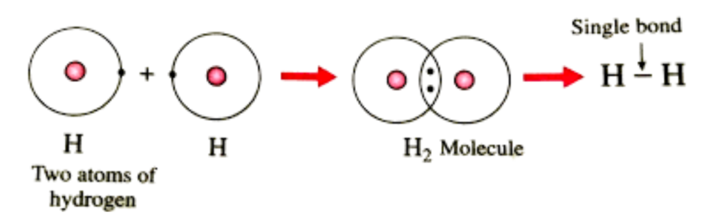 Step-by-step illustration of covalent bonding between two hydrogen atoms forming an H₂ molecule through a single shared electron pair