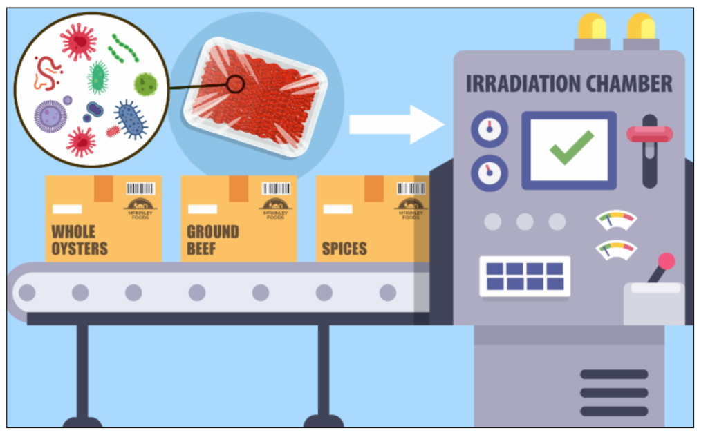 Radioactivity Dangers and Medicines: Food products like beef and spices being passed through an irradiation chamber to kill harmful microorganisms.
