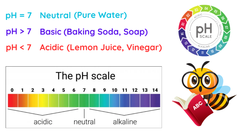 Diagram explaining the pH scale showing acidic, neutral and alkaline values with examples like lemon juice, vinegar, baking soda and pure water.