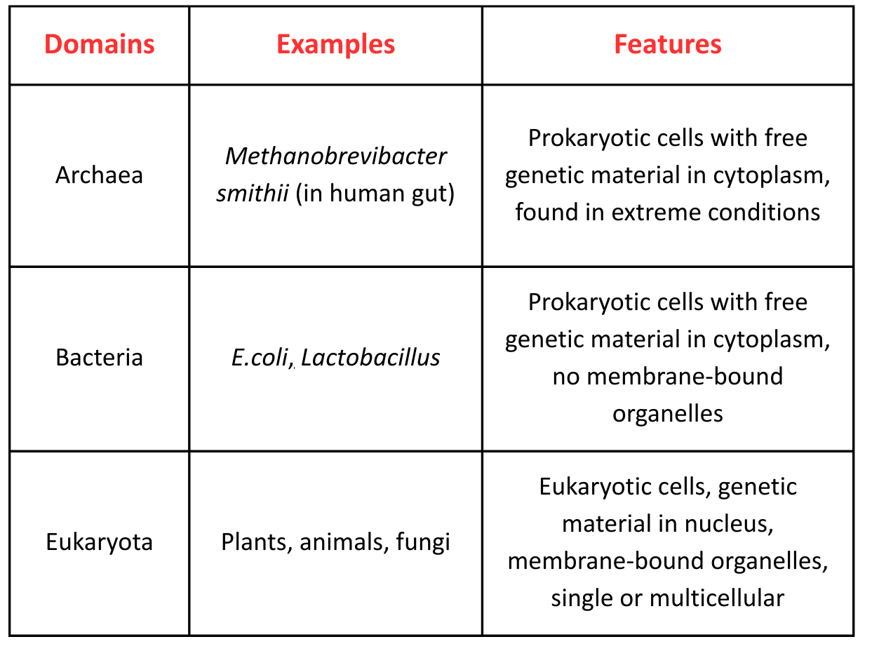 Table for Classification GCSE detailing the three domains of life: Archaea, Bacteria, and Eukaryota, along with their examples and features.