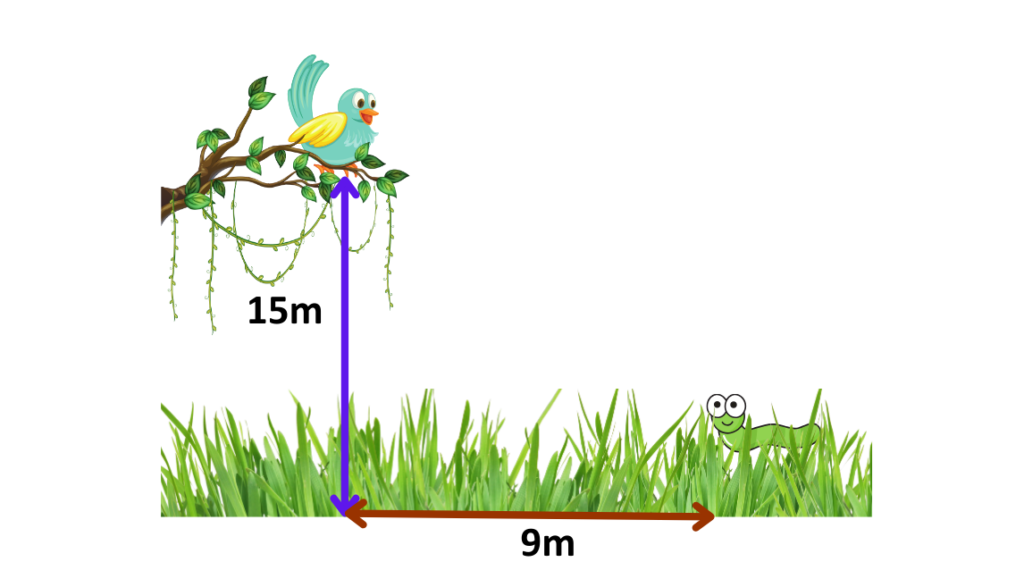 Image showing 2 sides of an imaginary triangle for step by step solved example of angle of elevation for trigonometry