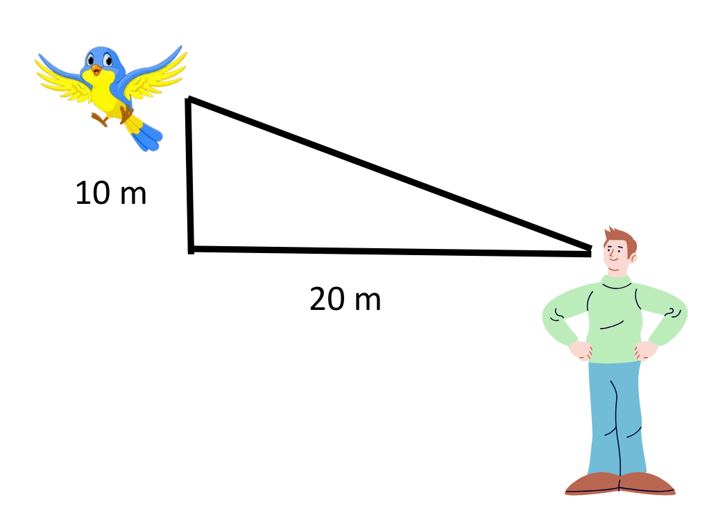 Image showing angle of elevation for solved example for explaining concept with step by step solved example