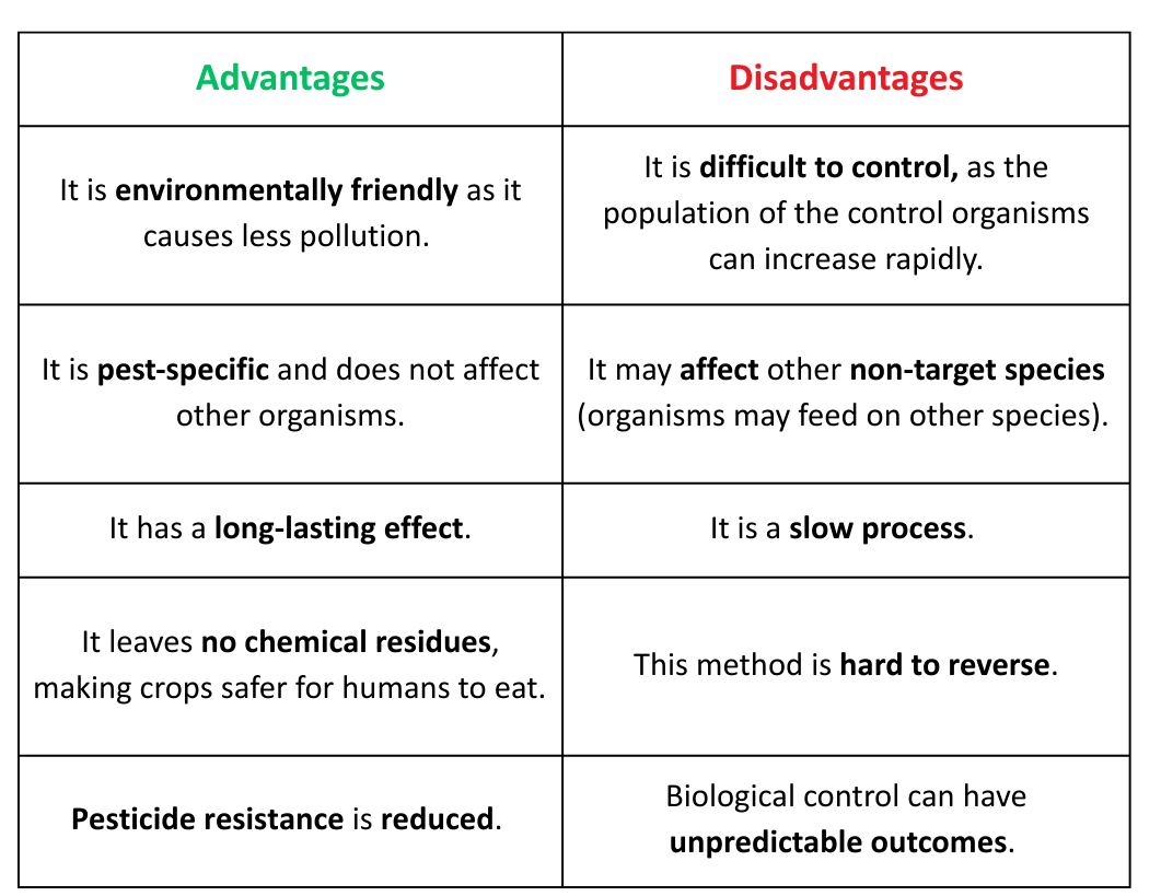 Comparison table listing the advantages and disadvantages of Biological Control, such as environmental safety versus unpredictability.