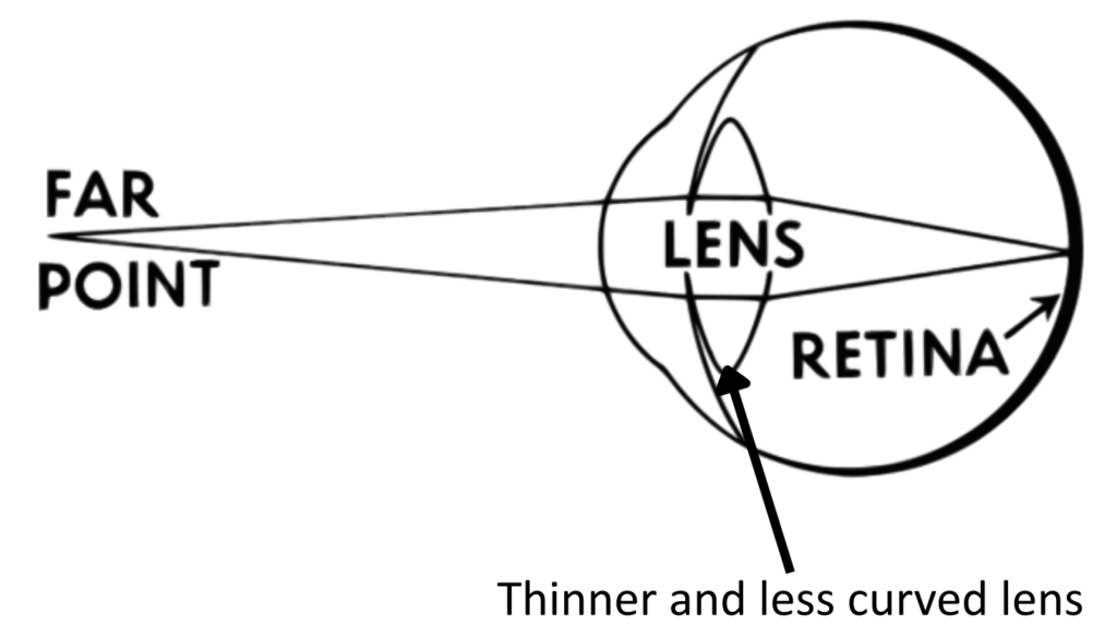 Eye Diagram GCSE showing far point focusing and how the lens focuses light onto the retina