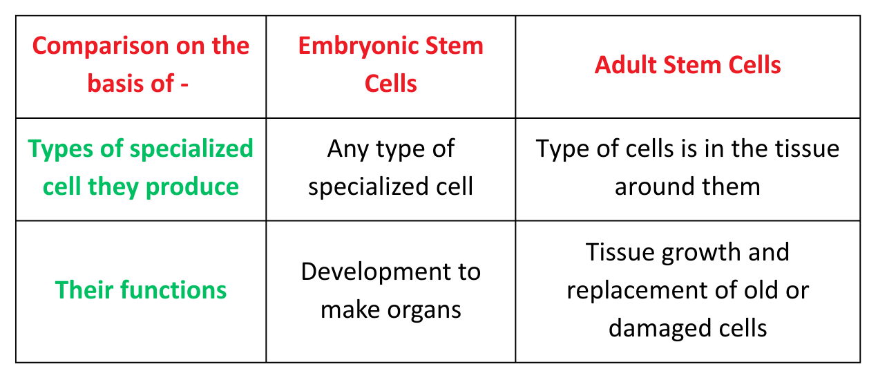 Comparison table for Stem Cells GCSE detailing differences between Embryonic and Adult stem cells based on specialized cell production and function.