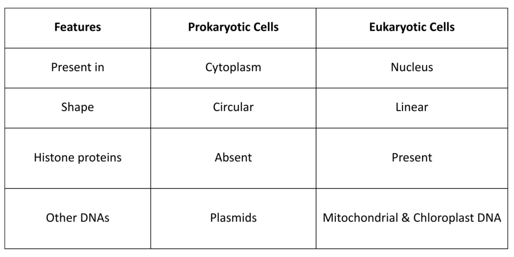 Table comparing the Structure of DNA in Prokaryotic and Eukaryotic cells, detailing differences in location, shape, and histone proteins.